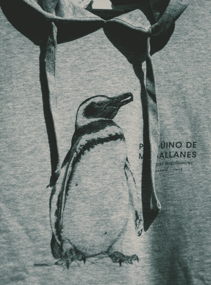 Polerón Gorro Gris- Cóndor volando