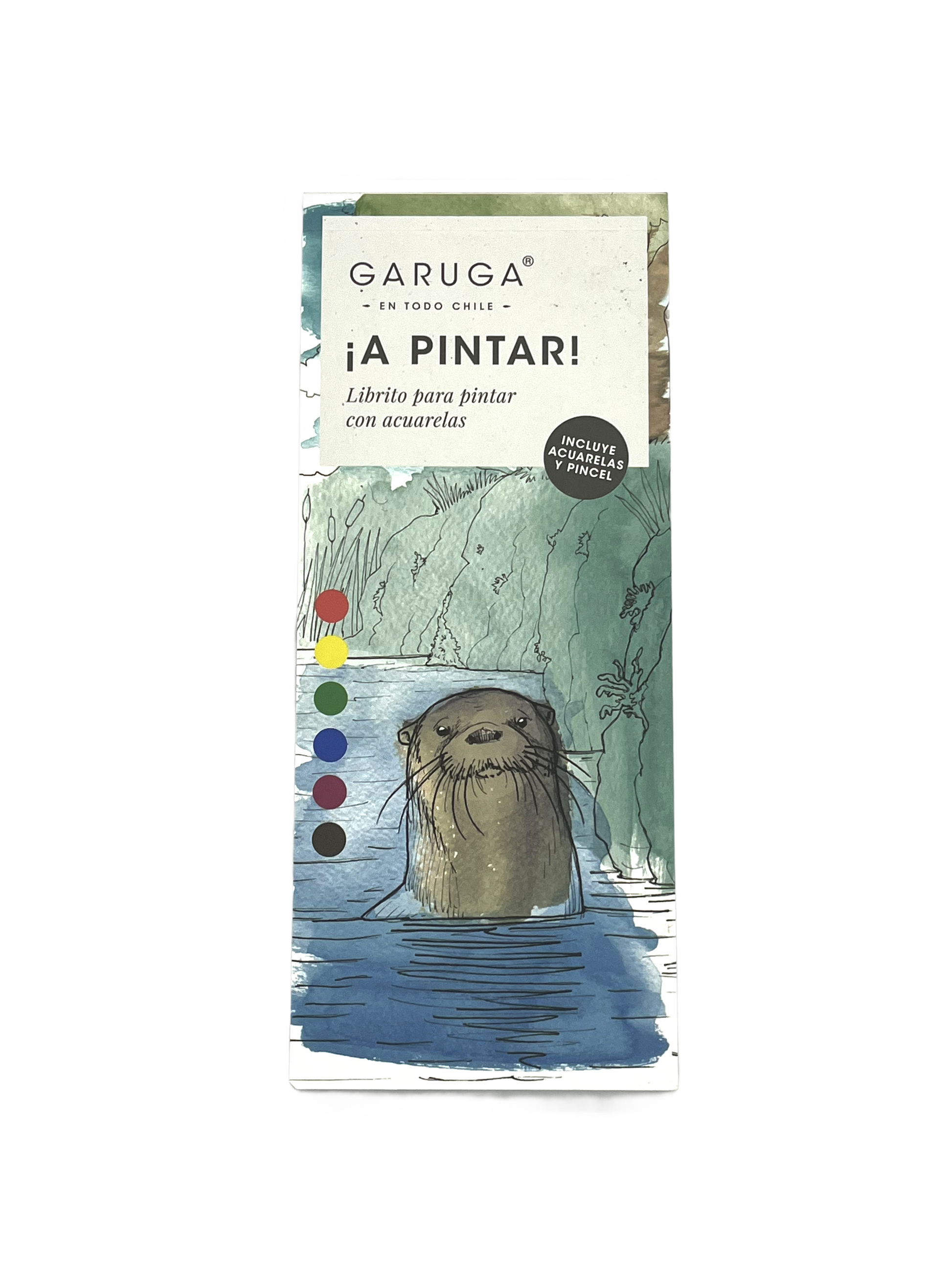 libro acuarela fauna flora nativa Chile niños
regalo libro acuarela pintar fauna chilena
libro acuarela ilustraciones fauna nativa Chile
libro pintar acuarela educativo fauna Chile
regalo creativo libro acuarela fauna Chile