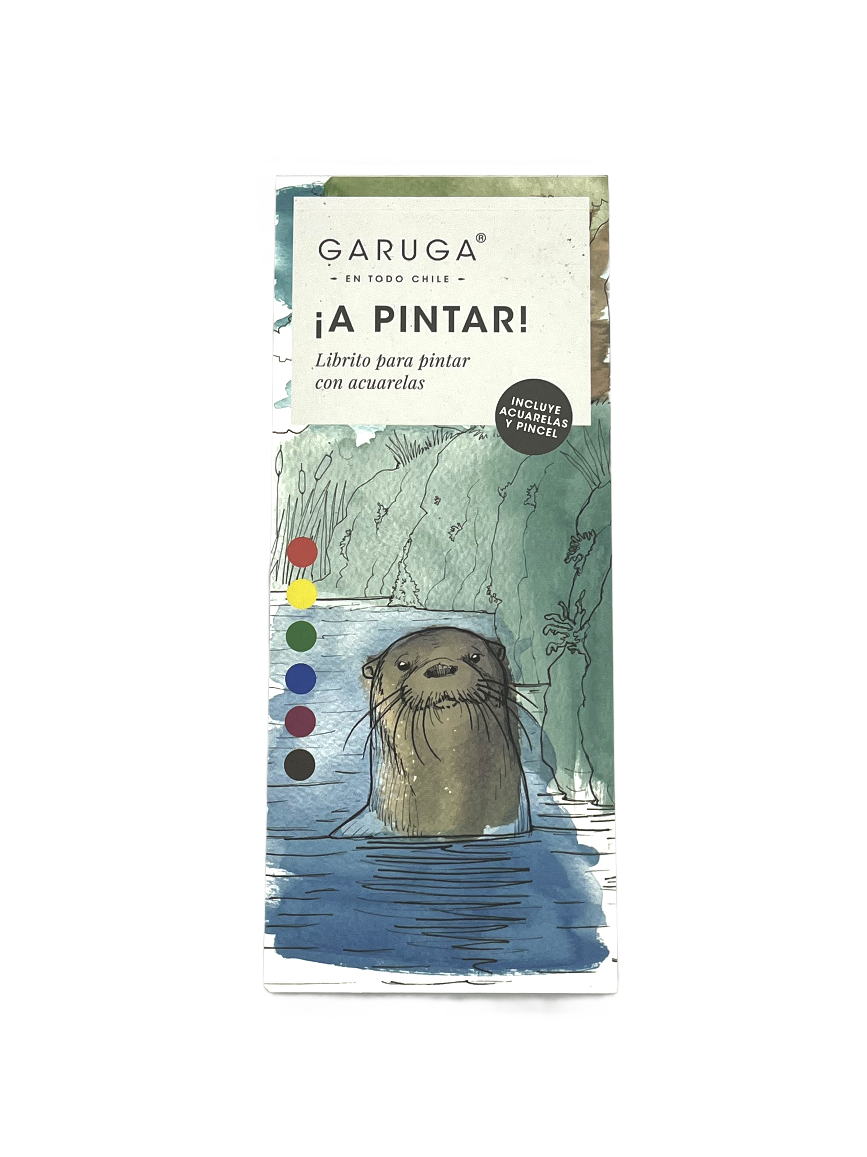libro acuarela fauna flora nativa Chile niños
regalo libro acuarela pintar fauna chilena
libro acuarela ilustraciones fauna nativa Chile
libro pintar acuarela educativo fauna Chile
regalo creativo libro acuarela fauna Chile