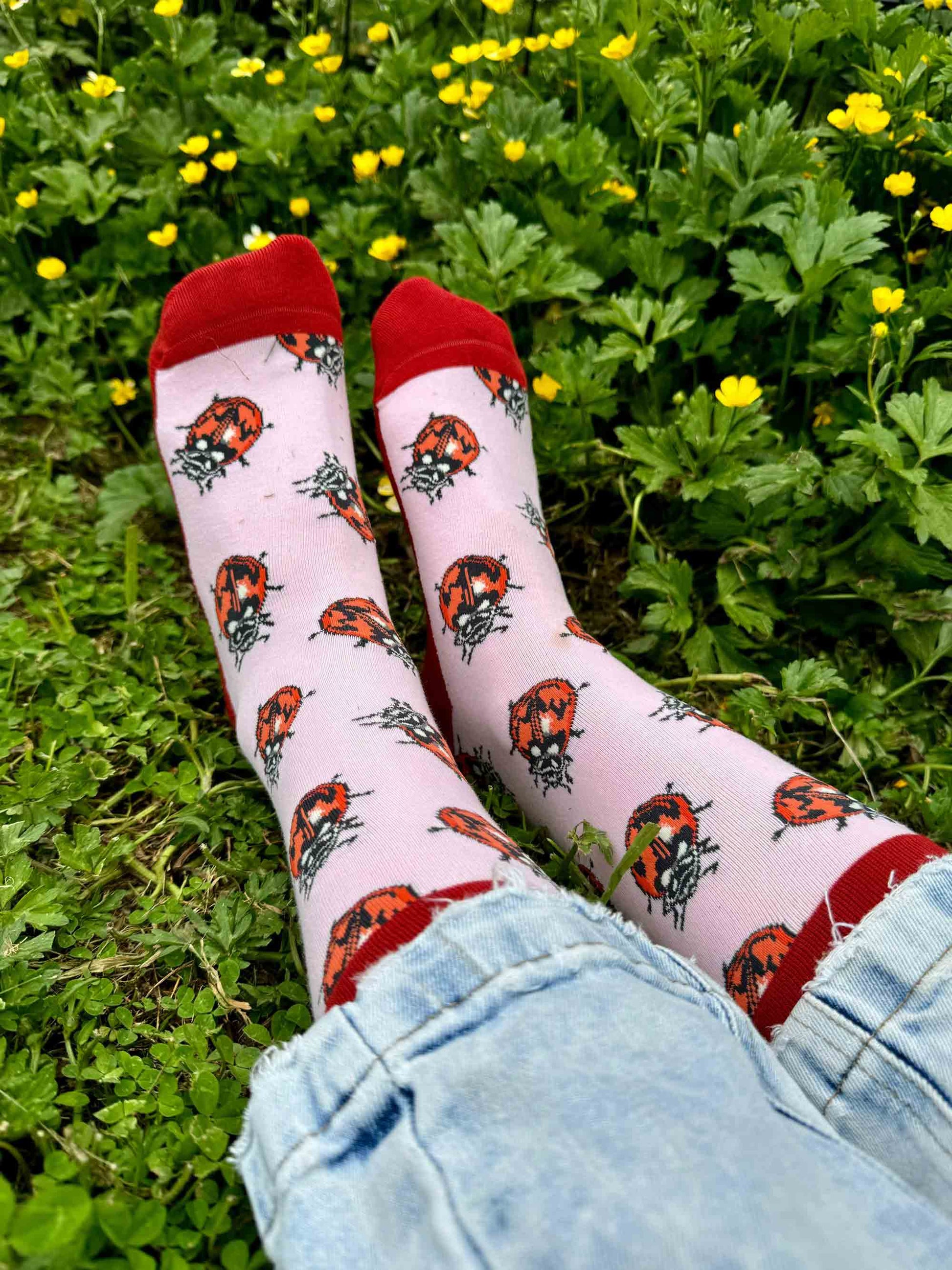Adalia angulifera ilustración calcetines algodón
chinita insecto nativo Chile calcetines sustentable
calcetines fauna Chile moda consciente People Socks
conservación insectos Chile calcetines adalia angulifera