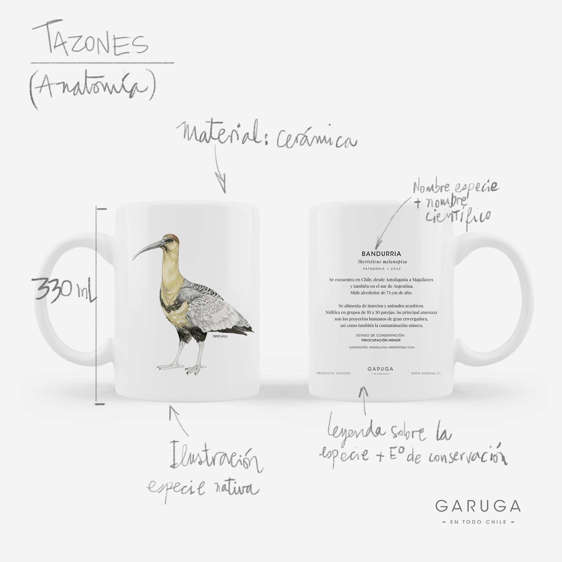 tazón cerámica diseño copao de Iquique Chile 330ml
regalo con copao cactus endémico norte Chile
tazón apto microondas copao Iquique Chile
regalo Día de la Madre tazón copao Iquique Chile
tazón flora endémica norte Chile