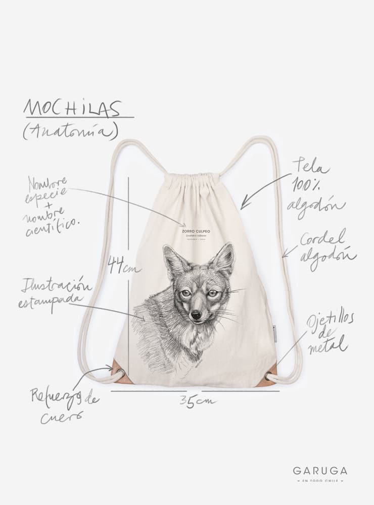 mochila diseño coihue Chile
mochila escolar fauna flora chilena vuelta a clases
regalo mochila coihue Chile niño
mochila ilustración coihue Chile sustentable
mochila vuelta a clases fauna Chile