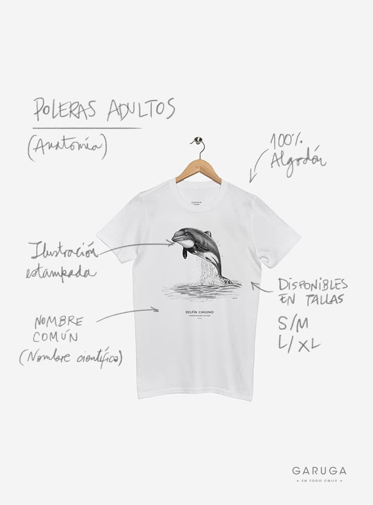 polera manga corta diseño garza cuca Chile
ropa con ave zancuda nativa humedales Chile
polera algodón unisex garza cuca Chile
regalo conservación garza cuca Chile manga corta
ropa fauna humedales Chile manga corta