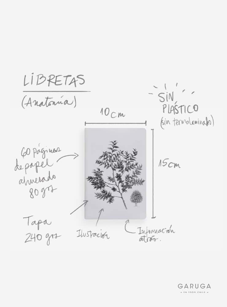 libreta diseño tucúquere Chile
libreta papelería ilustración fauna flora chilena
regalo libreta tucúquere fauna Chile
libreta 60 páginas tucúquere Chile
regalo papelería fauna flora nativa Chile