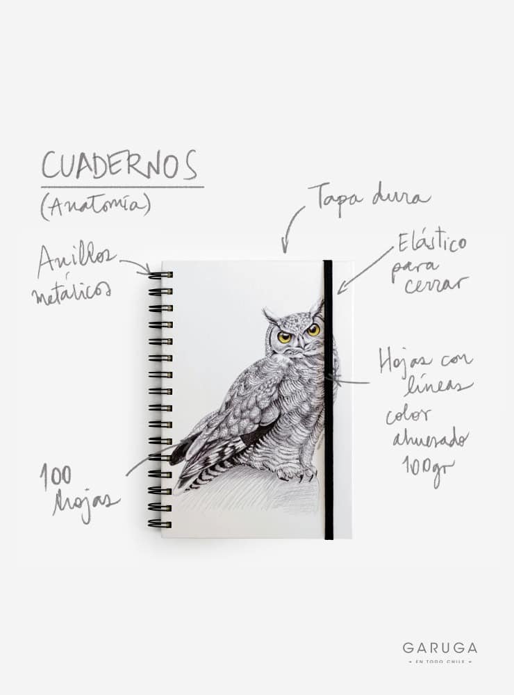 cuaderno diseño guanaco Chile vuelta clases
cuaderno escolar ilustración guanaco fauna Chile
regalo cuaderno guanaco fauna chilena
cuaderno 100 páginas guanaco Chile
cuaderno escolar fauna flora nativa Chile