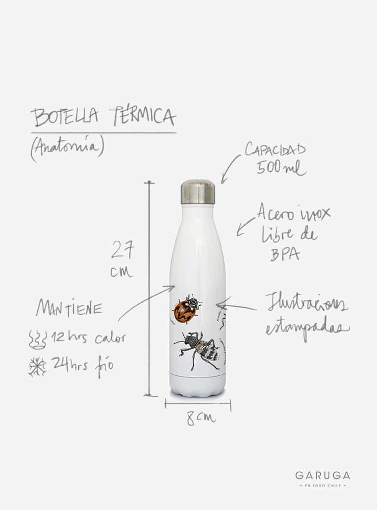 botella térmica 500ml diseño araucaria Chile
botella reutilizable libre BPA fauna Chile
regalo botella térmica araucaria Chile
botella térmica vuelta a clases araucaria Chile
botella ecológica reutilizable fauna flora chilena