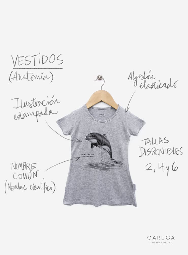 vestido infantil manga corta diseño mariposa del chagual Chile
ropa niña con insecto endémico Chile manga corta
vestido algodón modal niña mariposa chagual Chile
regalo niña conservación mariposa del chagual Chile
ropa infantil niña fauna insectos endémicos Chile