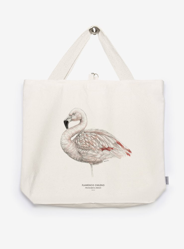 bolso XL reutilizable diseño flamenco Chile
bolso compras fauna flora chilena alternativa plástico
regalo bolso XL flamenco Chile
bolso XL tela ilustración flamenco Chile
bolso compras ecológico fauna Chile
