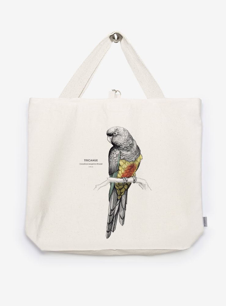 bolso XL reutilizable diseño tricahue Chile
bolso compras fauna flora chilena alternativa plástico
regalo bolso XL tricahue Chile
bolso XL tela ilustración tricahue Chile
bolso compras ecológico fauna Chile