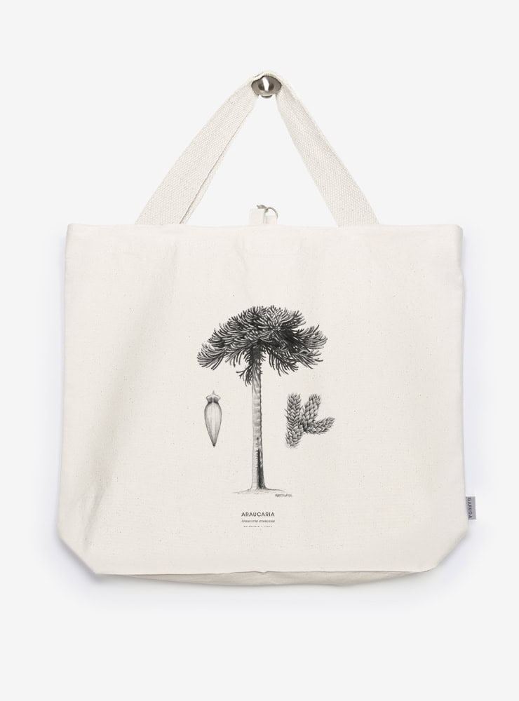bolso XL reutilizable diseño araucaria Chile
bolso compras fauna flora chilena alternativa plástico
regalo bolso XL araucaria Chile
bolso XL tela ilustración araucaria Chile
bolso compras ecológico fauna Chile