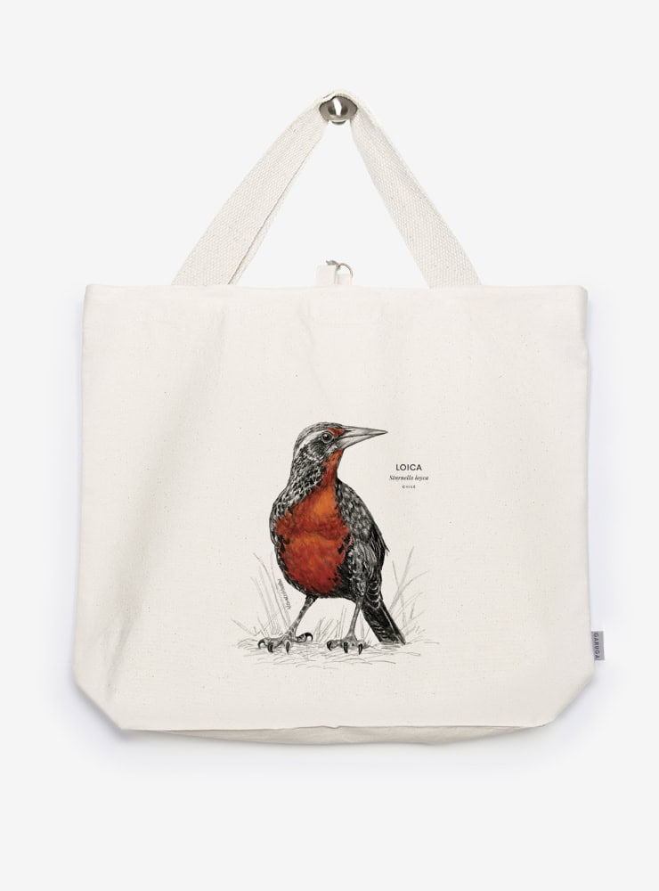 bolso XL reutilizable diseño loica Chile
bolso compras fauna flora chilena alternativa plástico
regalo bolso XL loica Chile
bolso XL tela ilustración loica Chile
bolso compras ecológico fauna Chile