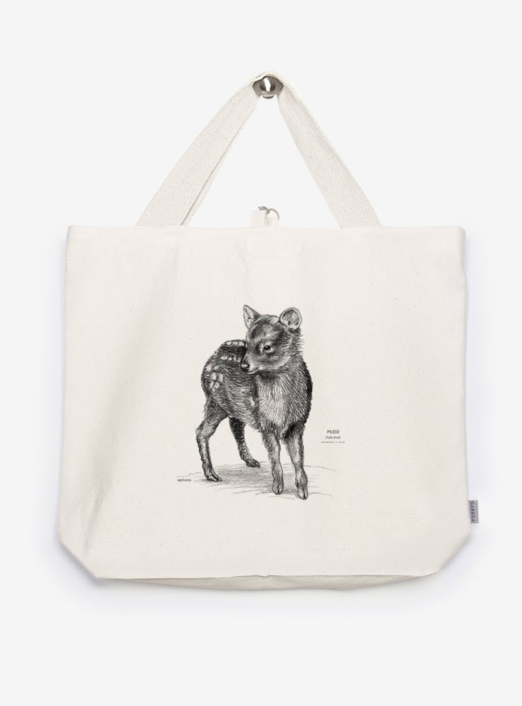 bolso XL reutilizable diseño pudú Chile
bolso compras fauna flora chilena alternativa plástico
regalo bolso XL pudú Chile
bolso XL tela ilustración pudú Chile
bolso compras ecológico fauna Chile