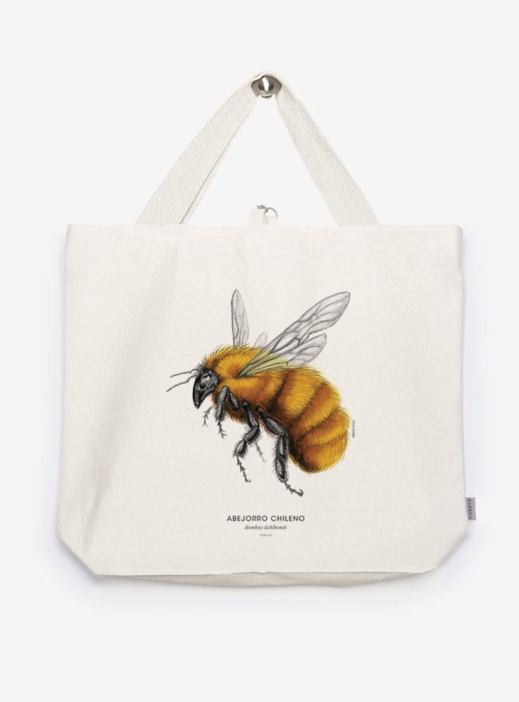 bolso XL reutilizable diseño abejorro chileno Chile
bolso compras fauna flora chilena alternativa plástico
regalo bolso XL abejorro chileno Chile
bolso XL tela ilustración abejorro chileno Chile
bolso compras ecológico fauna Chile