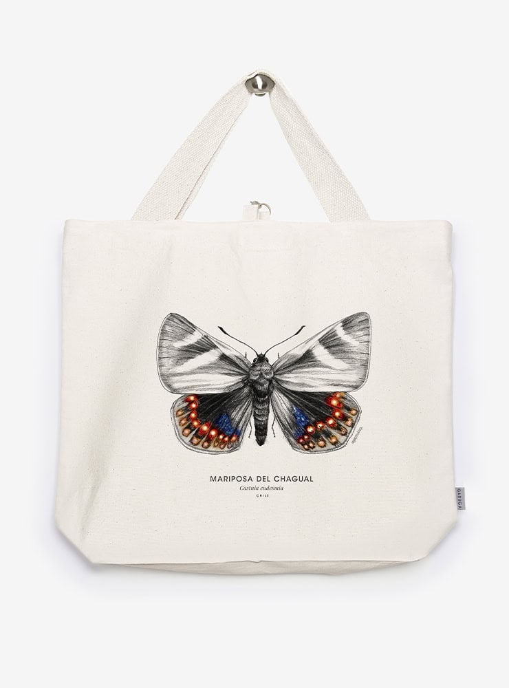 bolso XL reutilizable diseño mariposa del chagual Chile
bolso compras fauna flora chilena alternativa plástico
regalo bolso XL mariposa del chagual Chile
bolso XL tela ilustración mariposa del chagual Chile
bolso compras ecológico fauna Chile