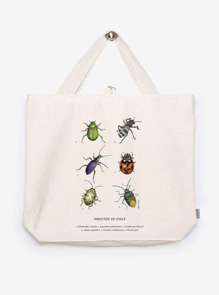 bolso XL reutilizable diseño insectos de chile Chile
bolso compras fauna flora chilena alternativa plástico
regalo bolso XL insectos de chile Chile
bolso XL tela ilustración insectos de chile Chile
bolso compras ecológico fauna Chile