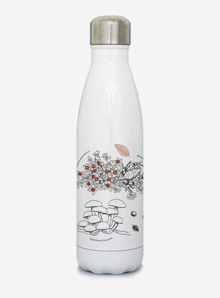 botella térmica 500ml diseño sotobosque Chile
botella reutilizable libre BPA fauna Chile
regalo botella térmica sotobosque Chile
botella térmica vuelta a clases sotobosque Chile
botella ecológica reutilizable fauna flora chilena