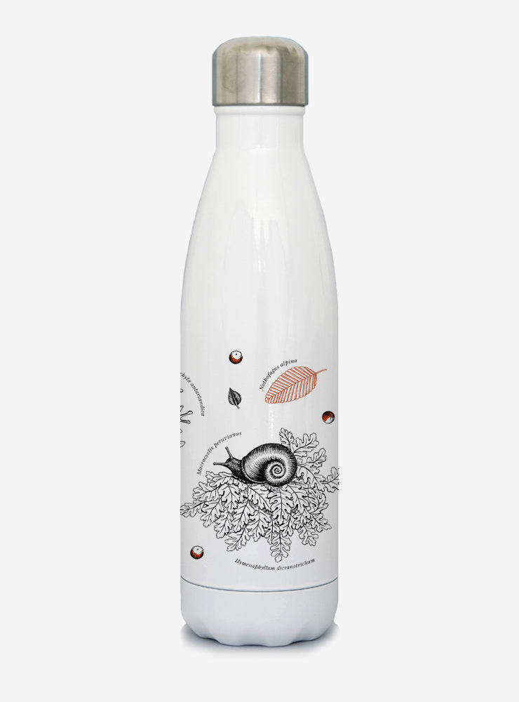 botella térmica 500ml diseño sotobosque Chile
botella reutilizable libre BPA fauna Chile
regalo botella térmica sotobosque Chile
botella térmica vuelta a clases sotobosque Chile
botella ecológica reutilizable fauna flora chilena