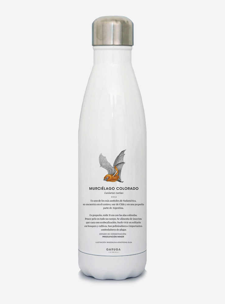 botella térmica 500ml diseño murciélago colorado Chile
botella reutilizable libre BPA fauna Chile
regalo botella térmica murciélago colorado Chile
botella térmica vuelta a clases murciélago colorado Chile
botella ecológica reutilizable fauna flora chilena