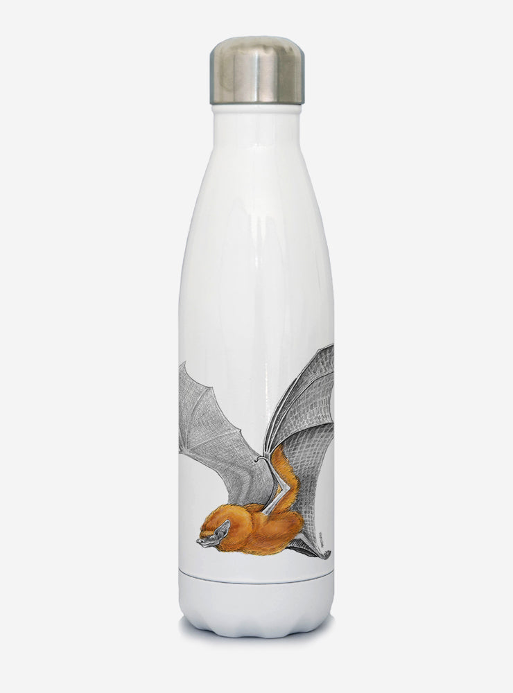 botella térmica 500ml diseño murciélago colorado Chile
botella reutilizable libre BPA fauna Chile
regalo botella térmica murciélago colorado Chile
botella térmica vuelta a clases murciélago colorado Chile
botella ecológica reutilizable fauna flora chilena