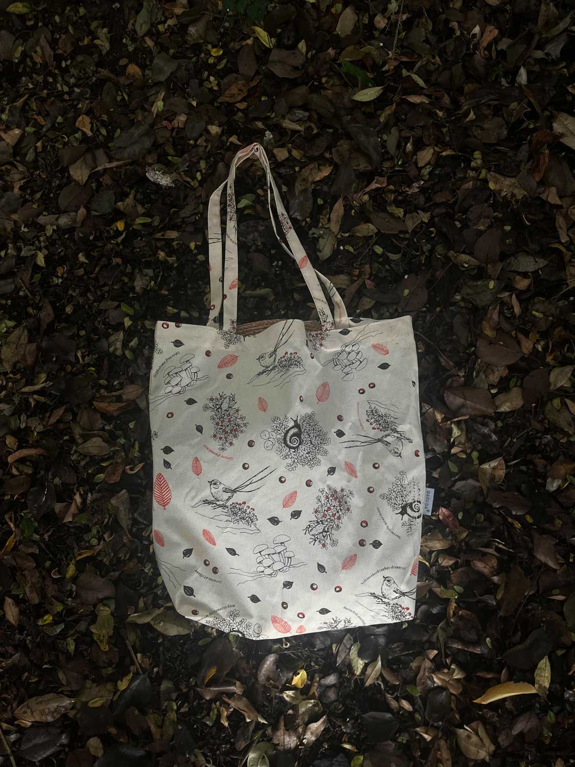 fauna flora nativa Chile pack regalo mate
pack regalo Garuga Chile sustentable consciente
regalo curado fauna Chile pack tomar mate
conservación Chile pack regalo mate fauna