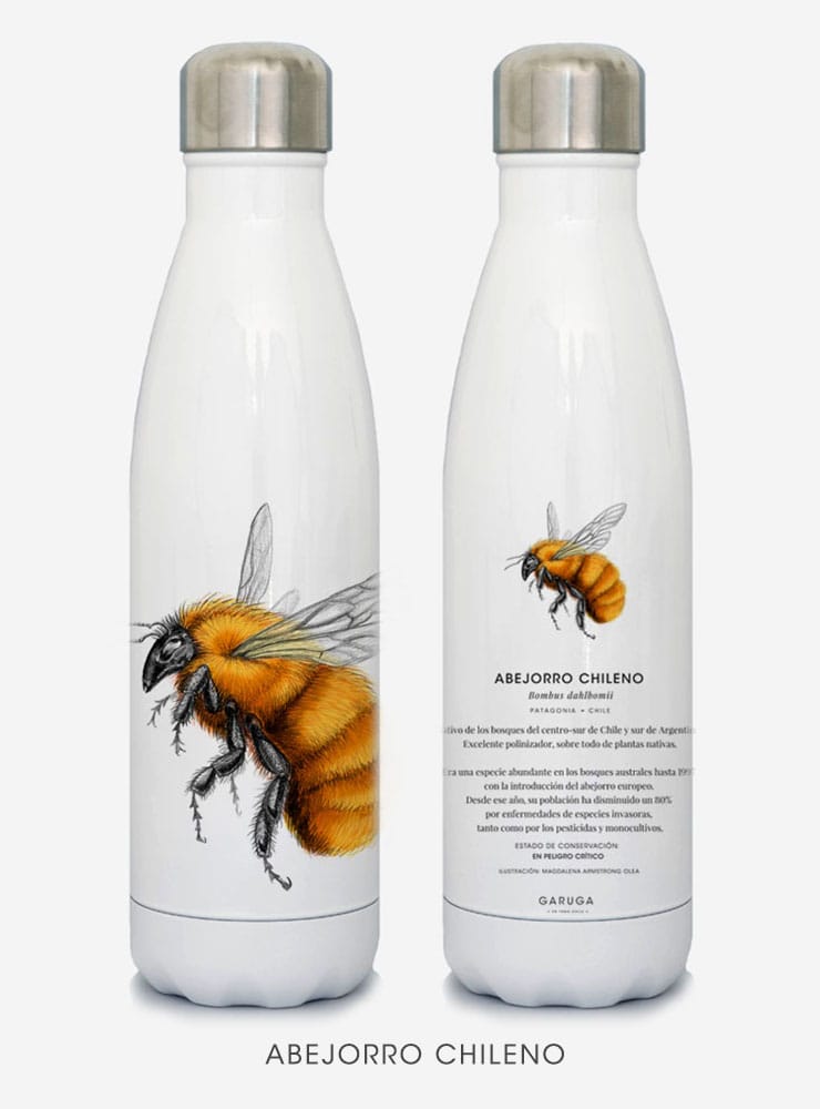 botella térmica 500ml diseño abejorro chileno Chile
botella reutilizable libre BPA fauna Chile
regalo botella térmica abejorro chileno Chile
botella térmica vuelta a clases abejorro chileno Chile
botella ecológica reutilizable fauna flora chilena