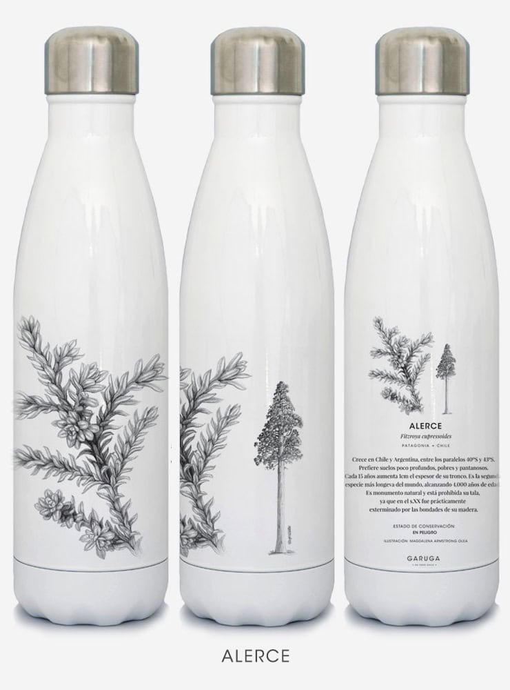 Botella Térmica - Alerce
