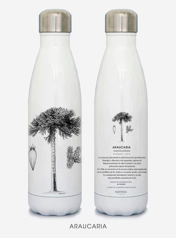botella térmica 500ml diseño araucaria Chile
botella reutilizable libre BPA fauna Chile
regalo botella térmica araucaria Chile
botella térmica vuelta a clases araucaria Chile
botella ecológica reutilizable fauna flora chilena