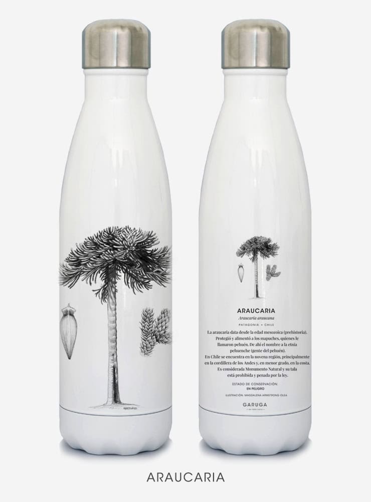 botella térmica 500ml diseño araucaria Chile
botella reutilizable libre BPA fauna Chile
regalo botella térmica araucaria Chile
botella térmica vuelta a clases araucaria Chile
botella ecológica reutilizable fauna flora chilena