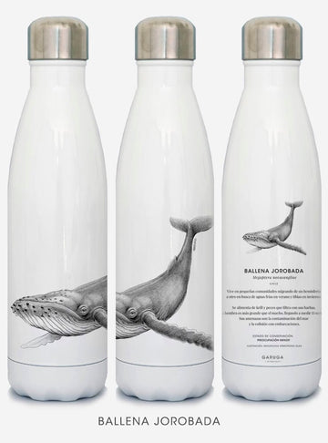 botella térmica 500ml diseño ballena jorobada Chile
botella reutilizable libre BPA fauna Chile
regalo botella térmica ballena jorobada Chile
botella térmica vuelta a clases ballena jorobada Chile
botella ecológica reutilizable fauna flora chilena