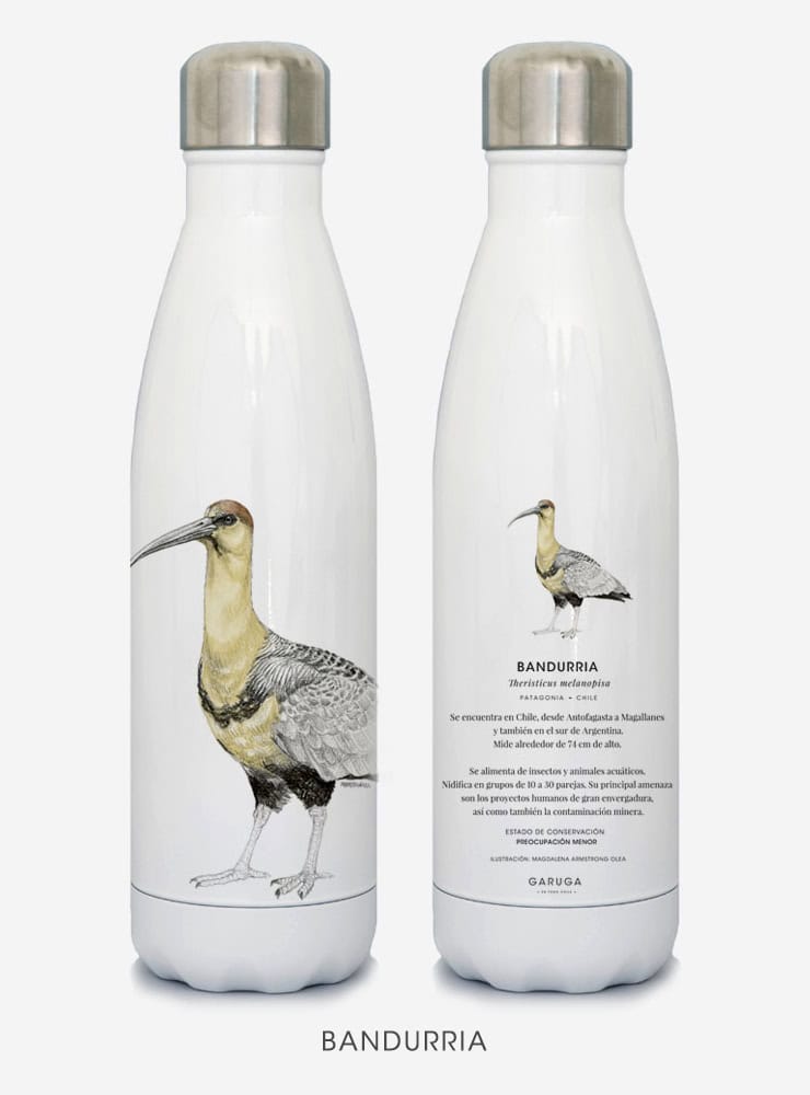 Botella Térmica Familia Garuga