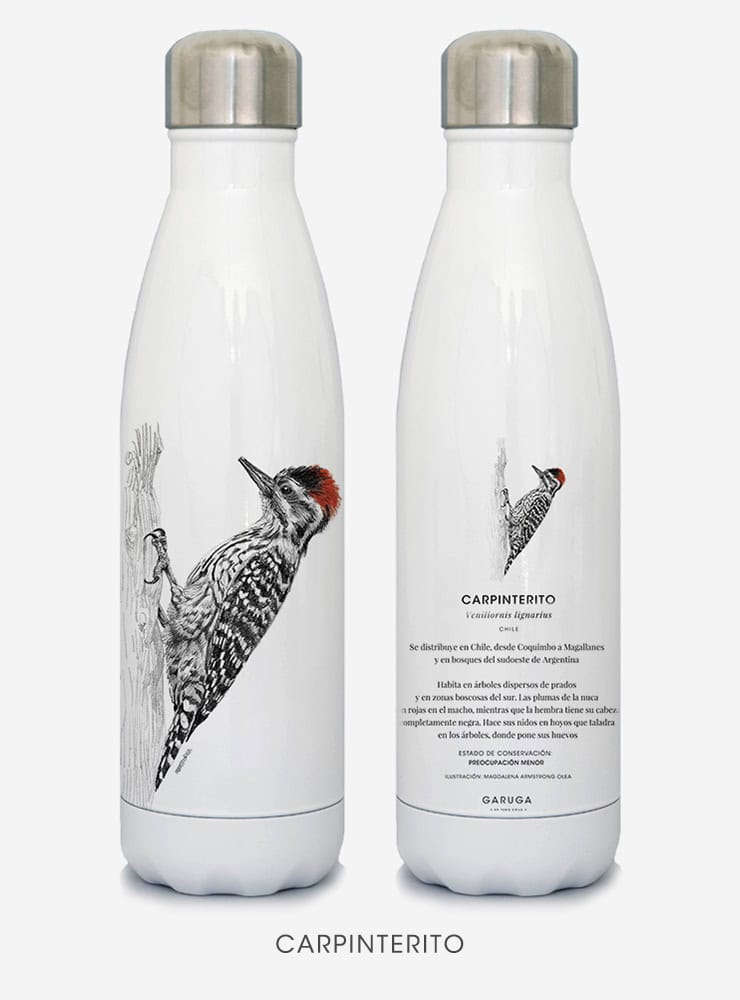 Botella Térmica - Carpinterito