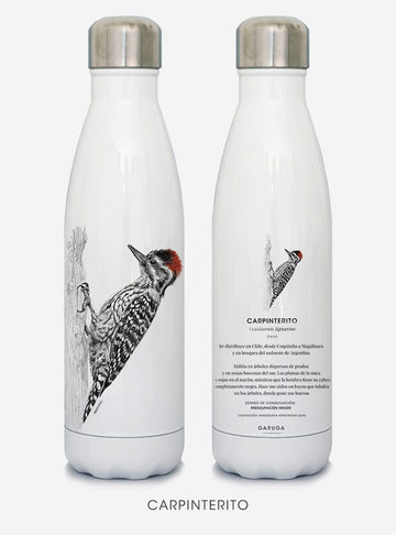 botella térmica 500ml diseño carpinterito Chile
botella reutilizable libre BPA fauna Chile
regalo botella térmica carpinterito Chile
botella térmica vuelta a clases carpinterito Chile
botella ecológica reutilizable fauna flora chilena