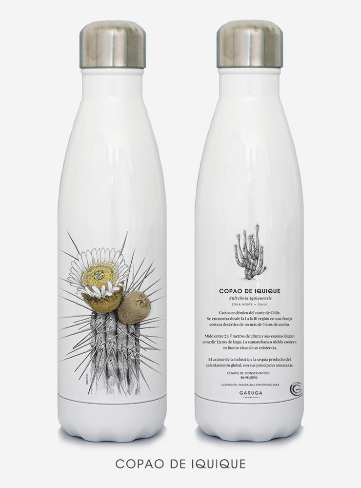 botella térmica 500ml diseño copao de iquique Chile
botella reutilizable libre BPA fauna Chile
regalo botella térmica copao de iquique Chile
botella térmica vuelta a clases copao de iquique Chile
botella ecológica reutilizable fauna flora chilena