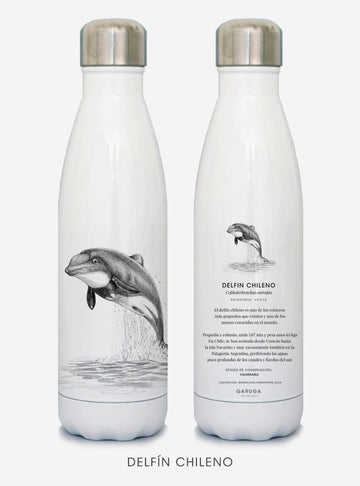 botella térmica 500ml diseño delfín chileno Chile
botella reutilizable libre BPA fauna Chile
regalo botella térmica delfín chileno Chile
botella térmica vuelta a clases delfín chileno Chile
botella ecológica reutilizable fauna flora chilena