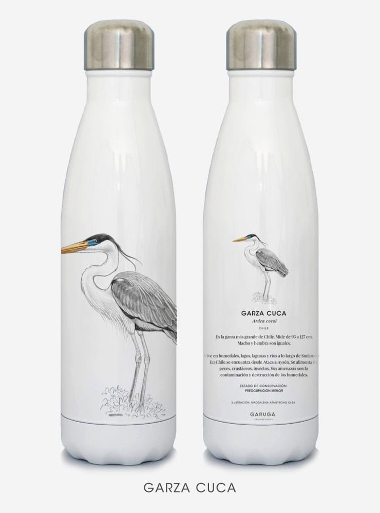 botella térmica 500ml diseño garza cuca Chile
botella reutilizable libre BPA fauna Chile
regalo botella térmica garza cuca Chile
botella térmica vuelta a clases garza cuca Chile
botella ecológica reutilizable fauna flora chilena