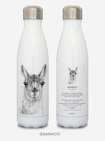 botella térmica 500ml diseño guanaco Chile
botella reutilizable libre BPA fauna Chile
regalo botella térmica guanaco Chile
botella térmica vuelta a clases guanaco Chile
botella ecológica reutilizable fauna flora chilena