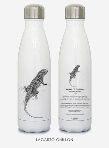 botella térmica 500ml diseño lagarto chillón Chile
botella reutilizable libre BPA fauna Chile
regalo botella térmica lagarto chillón Chile
botella térmica vuelta a clases lagarto chillón Chile
botella ecológica reutilizable fauna flora chilena