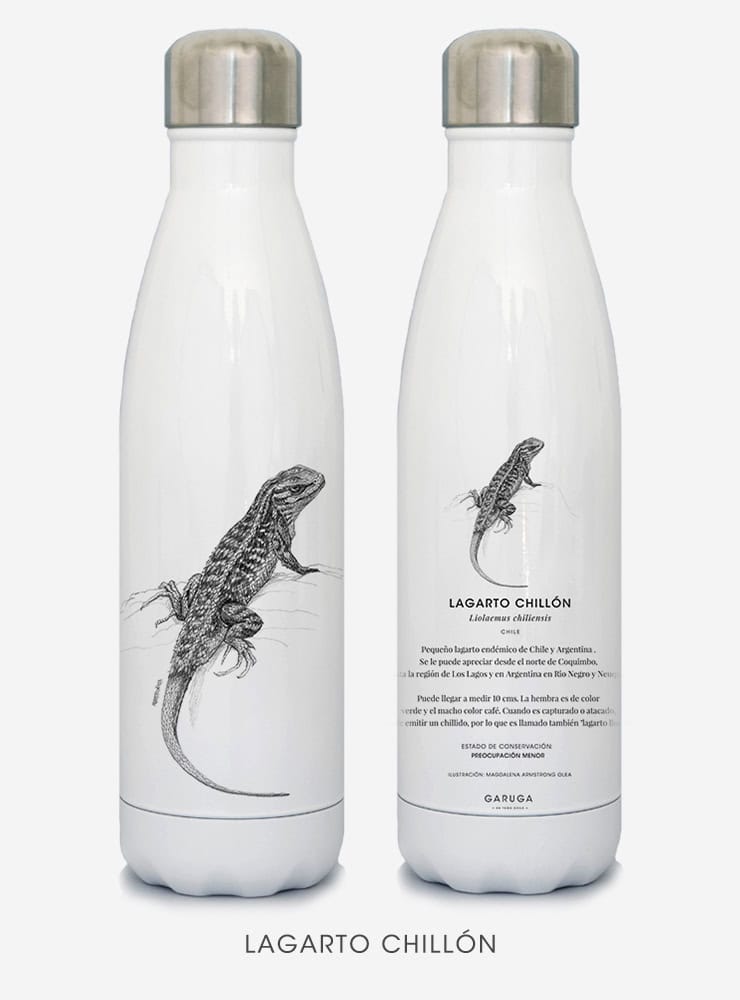 botella térmica 500ml diseño lagarto chillón Chile
botella reutilizable libre BPA fauna Chile
regalo botella térmica lagarto chillón Chile
botella térmica vuelta a clases lagarto chillón Chile
botella ecológica reutilizable fauna flora chilena