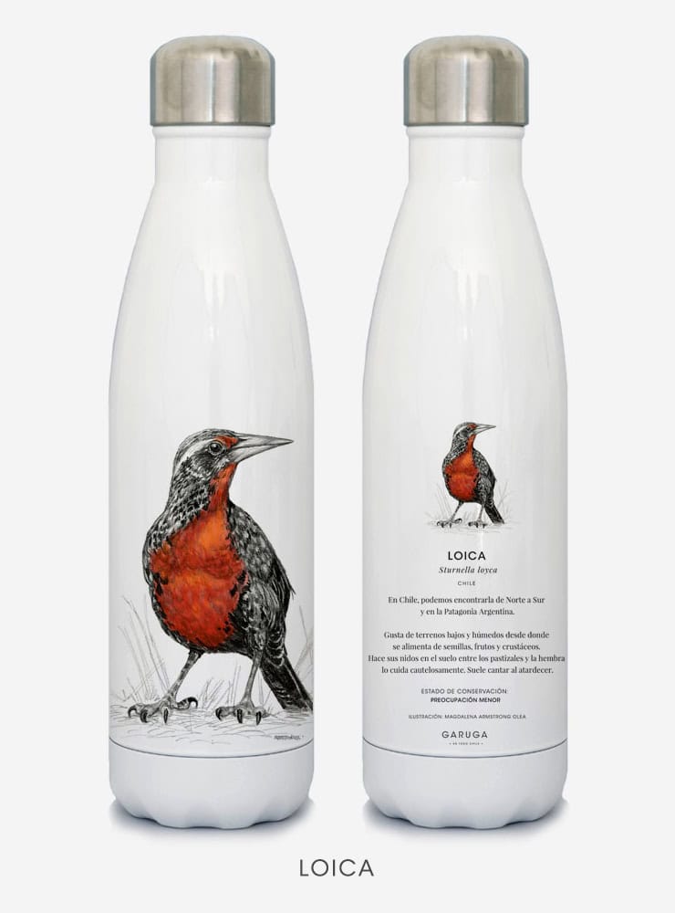 Botella Térmica - Loica