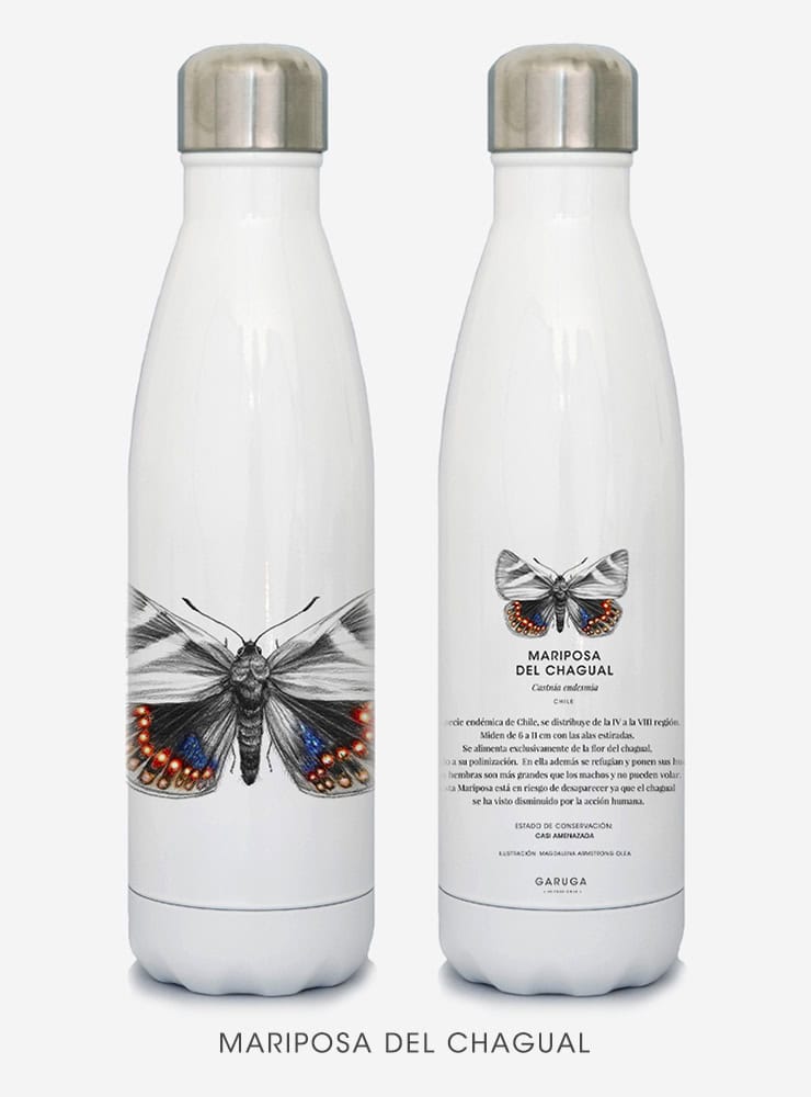 botella térmica 500ml diseño mariposa del chagual Chile
botella reutilizable libre BPA fauna Chile
regalo botella térmica mariposa del chagual Chile
botella térmica vuelta a clases mariposa del chagual Chile
botella ecológica reutilizable fauna flora chilena