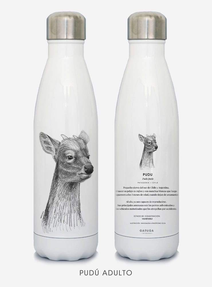 botella térmica 500ml diseño pudú adulto Chile
botella reutilizable libre BPA fauna Chile
regalo botella térmica pudú adulto Chile
botella térmica vuelta a clases pudú adulto Chile
botella ecológica reutilizable fauna flora chilena