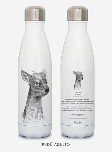 botella térmica 500ml diseño pudú adulto Chile
botella reutilizable libre BPA fauna Chile
regalo botella térmica pudú adulto Chile
botella térmica vuelta a clases pudú adulto Chile
botella ecológica reutilizable fauna flora chilena