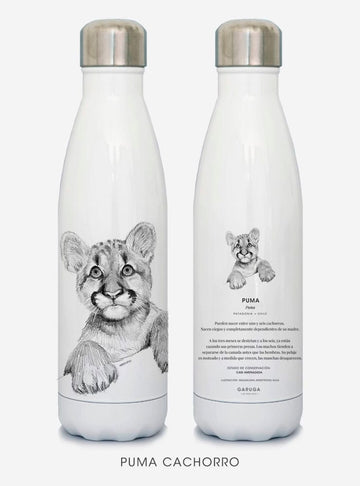 botella térmica 500ml diseño puma cachorro Chile
botella reutilizable libre BPA fauna Chile
regalo botella térmica puma cachorro Chile
botella térmica vuelta a clases puma cachorro Chile
botella ecológica reutilizable fauna flora chilena