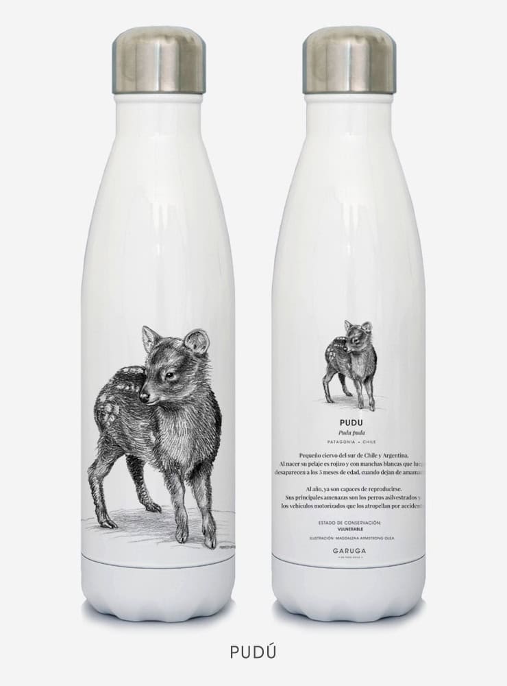 botella térmica 500ml diseño pudú Chile
botella reutilizable libre BPA fauna Chile
regalo botella térmica pudú Chile
botella térmica vuelta a clases pudú Chile
botella ecológica reutilizable fauna flora chilena