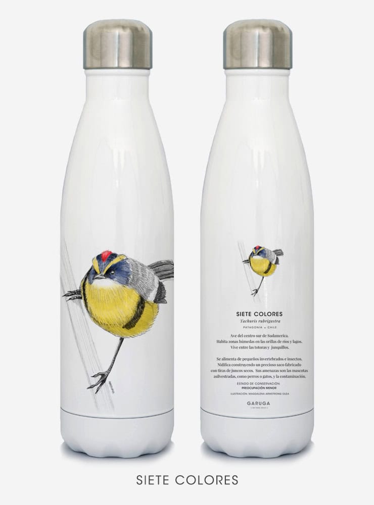 botella térmica 500ml diseño siete colores Chile
botella reutilizable libre BPA fauna Chile
regalo botella térmica siete colores Chile
botella térmica vuelta a clases siete colores Chile
botella ecológica reutilizable fauna flora chilena