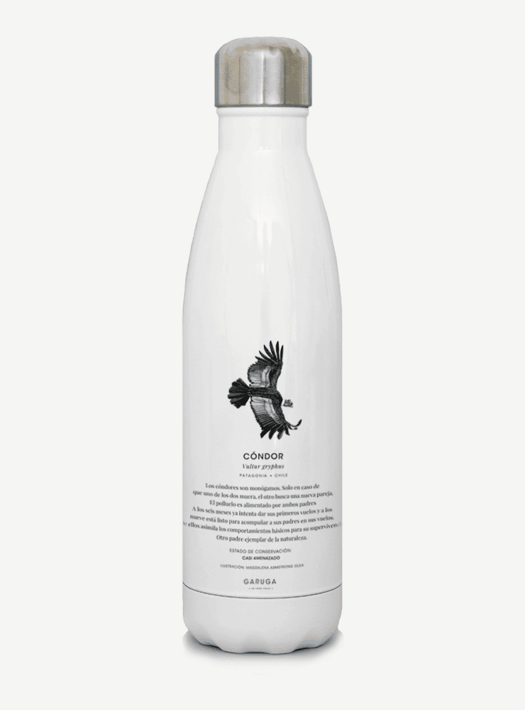 botella térmica 500ml diseño cóndor Chile
botella reutilizable libre BPA fauna Chile
regalo botella térmica cóndor Chile
botella térmica vuelta a clases cóndor Chile
botella ecológica reutilizable fauna flora chilena
