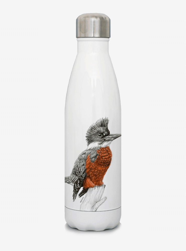 botella térmica 500ml diseño martín pescador Chile
botella reutilizable libre BPA fauna Chile
regalo botella térmica martín pescador Chile
botella térmica vuelta a clases martín pescador Chile
botella ecológica reutilizable fauna flora chilena