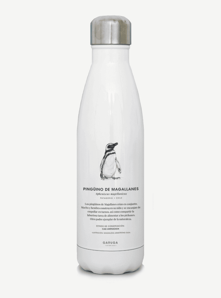 botella térmica 500ml diseño pingüino de magallanes Chile
botella reutilizable libre BPA fauna Chile
regalo botella térmica pingüino de magallanes Chile
botella térmica vuelta a clases pingüino de magallanes Chile
botella ecológica reutilizable fauna flora chilena
