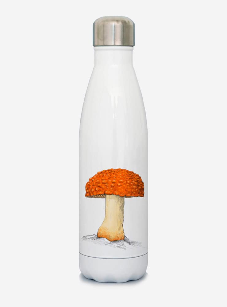 botella térmica 500ml diseño amanita gayana Chile
botella reutilizable libre BPA fauna Chile
regalo botella térmica amanita gayana Chile
botella térmica vuelta a clases amanita gayana Chile
botella ecológica reutilizable fauna flora chilena