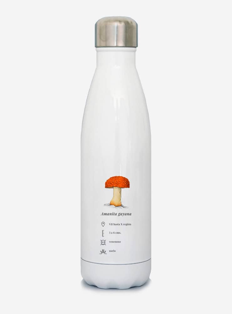 botella térmica 500ml diseño amanita gayana Chile
botella reutilizable libre BPA fauna Chile
regalo botella térmica amanita gayana Chile
botella térmica vuelta a clases amanita gayana Chile
botella ecológica reutilizable fauna flora chilena
